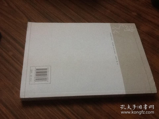 探索国产另类综合区，多元文化的交汇与创新国产综合症