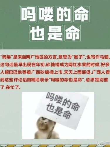 99久久天天躁狠狠躁夜夜躁解读99久久天天躁狠狠躁夜夜躁，网络流行语的背后含义与社会影响