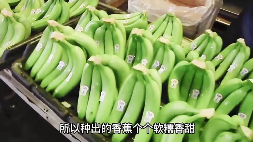 欧美亚洲肥熟香蕉，全球市场趋势与消费文化探析亚州鸥美