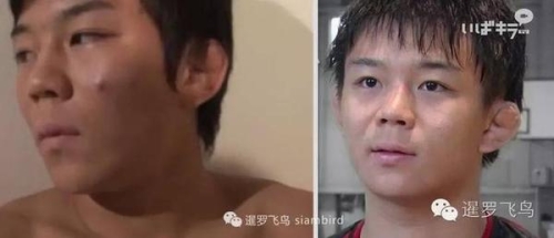日韩GV、国产GV与欧美无码天堂，全球成人影片市场解析