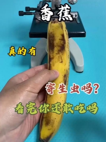 久热香蕉在线精品视频播放，探索高质量视频内容的新趋势久热香蕉在线精品视频播放