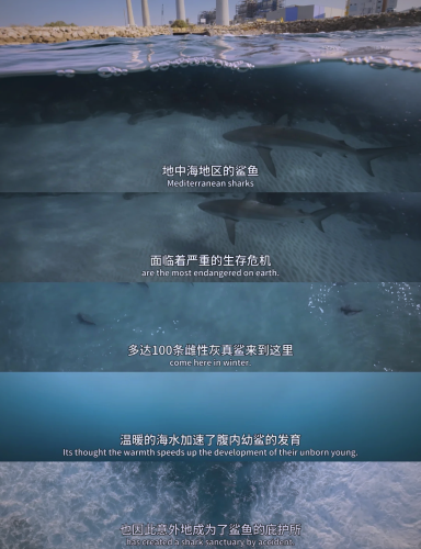 亚洲高清国产拍精品青青草原，自然与文化的完美融合
