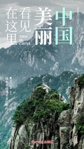 天天精品国产免费，探索中国本土优质资源的新时代