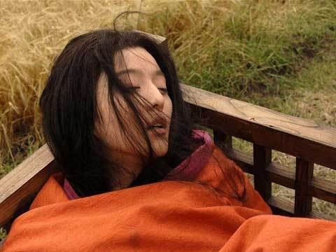秋霞午夜福利影院合集，深度解析与观影指南秋霞网站超越