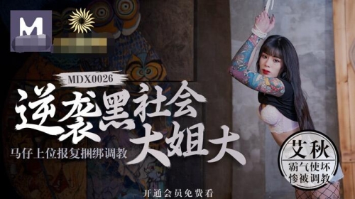 精品国产自在免费观看，探索国产影视的崛起与免费观看的便利