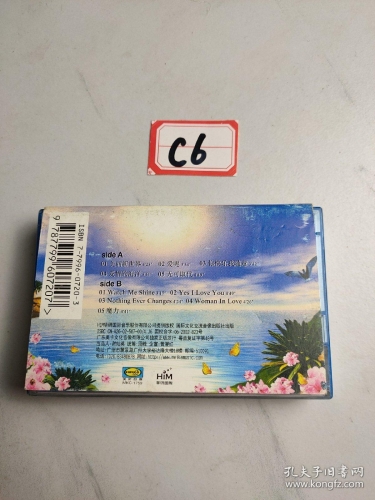 国内精品视频在线观看，探索多元文化下的影视新世界今天高清视频在线观看