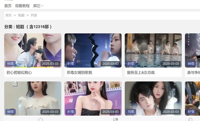91免费永久在线观看无码91免费永久在线观看无码，探索网络视频的无限可能