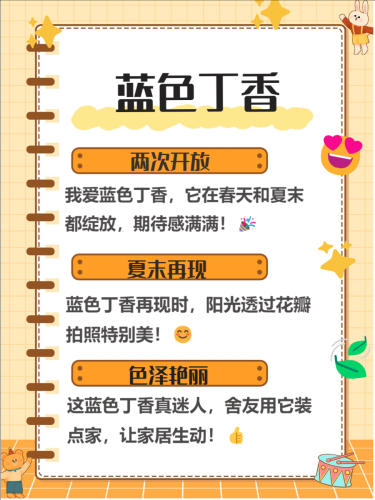 亚洲综合五月丁香伊人，探索亚洲文化中的花卉象征与人文情怀亚洲五月六月七月八月九月丁香缴情