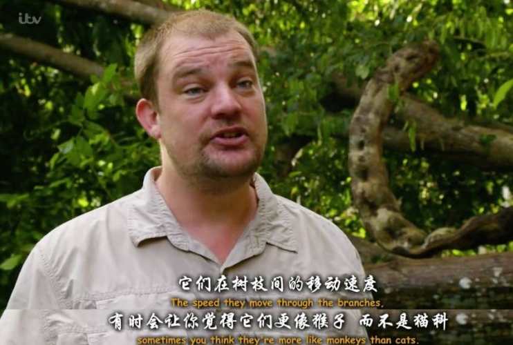 一级毛片国产A级毛片一级毛片国产A级毛片，引领行业新风潮