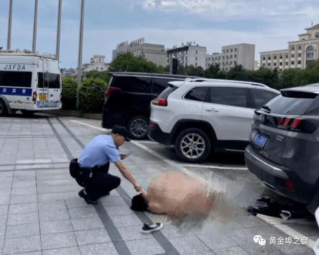免费无遮拦无码视频在线观看，探索网络视频的无限可能免费无遮拦无码视频在线观看