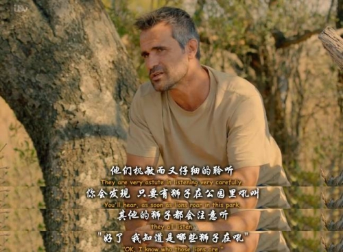 毛片无码区二区三区四毛片无码区，探索二区、三区与四区的特色与魅力