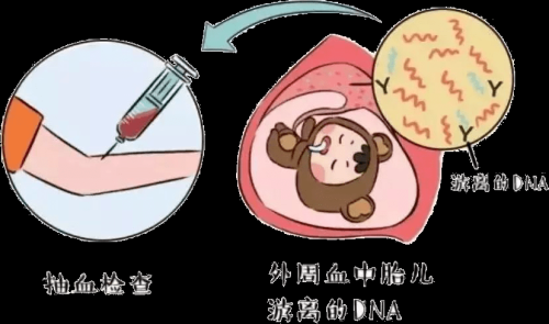 国产精品无码怀孕，孕育健康新篇章