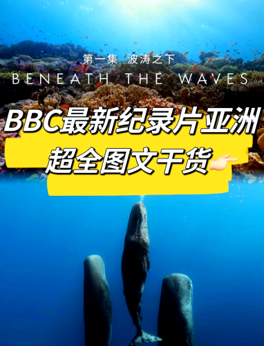 亚洲一级二级视频在线观看亚洲一级二级视频在线观看指南