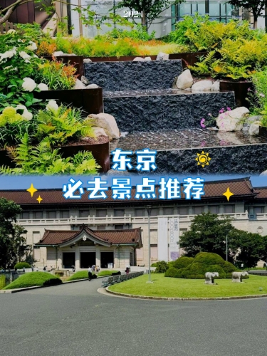 揭秘东京一神秘角落，探索无码AV的独家新闻