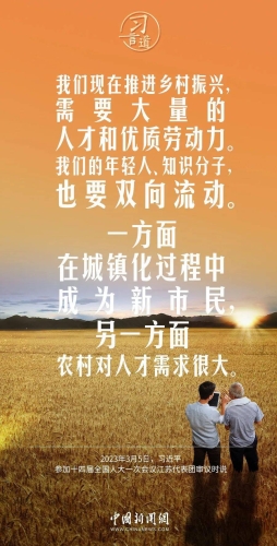 本道综合精品本道综合精品，新闻资讯网站深度解析