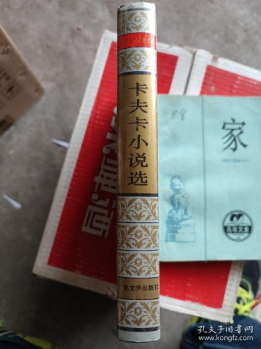 亚洲人成综合小说社区在线，多元文化汇聚的文学世界亚洲综合症