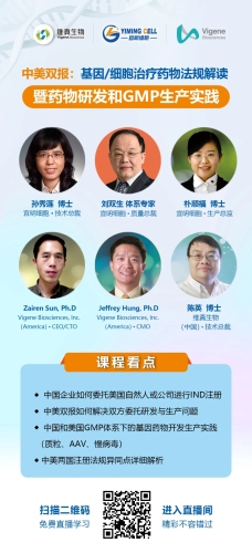探索中文AV资源网站，新闻资讯的独特视角中文av资源网站大全