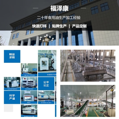 国产一级毛片高清片，展现独特魅力与文化内涵久久久久国产一级毛片高清片怀旧AV