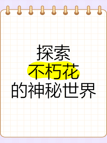 亚洲国产成人手机av在线亚洲热门成人手机APP揭秘，探索在线观看的神秘世界