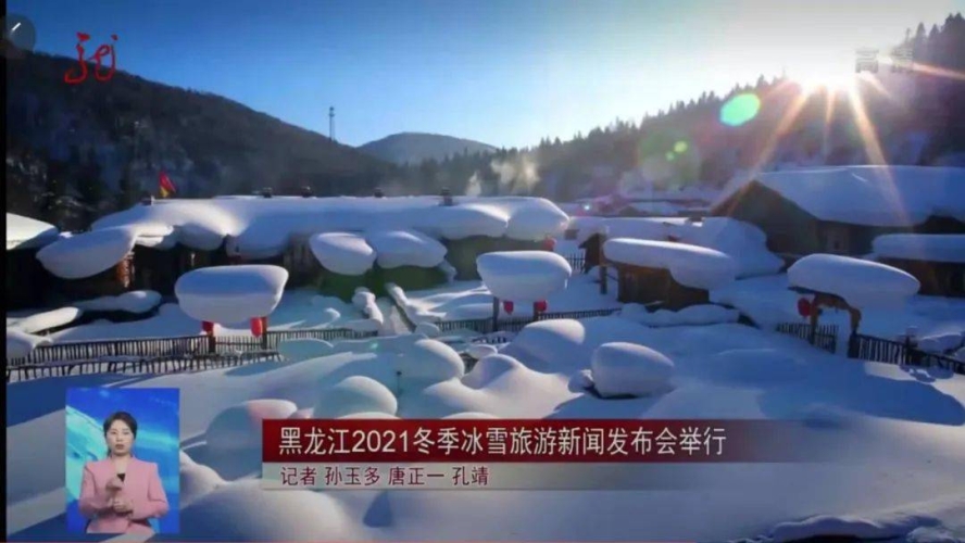 2021无码在线视频，探索数字时代的全新娱乐世界