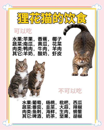 久久精品国产亚洲猫咪国产精品亚洲猫咪—久久资讯独家报道