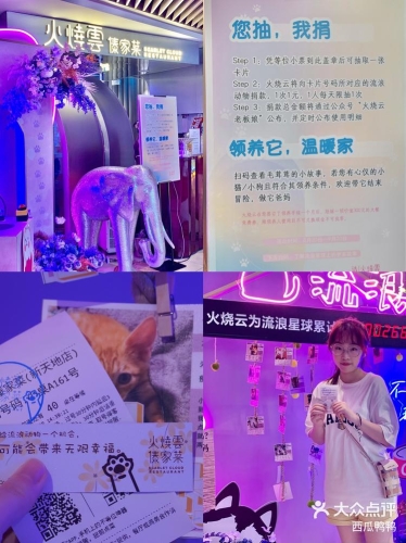 在线不卡视频V二区三区，探索优质内容的新天地不卡片一区