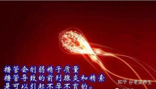 国产内射精品视频，探索内射文化的魅力与深度