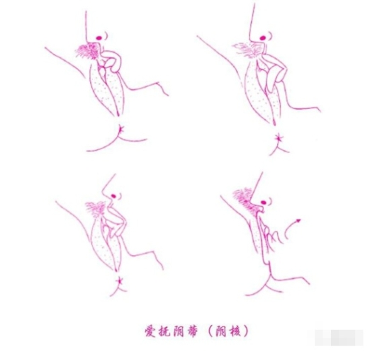 熟妇高潮一区二区精品熟妇高潮一区二区精品，探索女性魅力与情感高潮的神秘世界