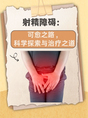 国产成人精品综合在线观看国产成人精品综合在线观看，探索健康与性爱的多元世界