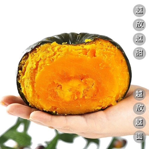 国产精品在线看，天天在线带你领略国产影视魅力精品国产在天天在线观看_第1集