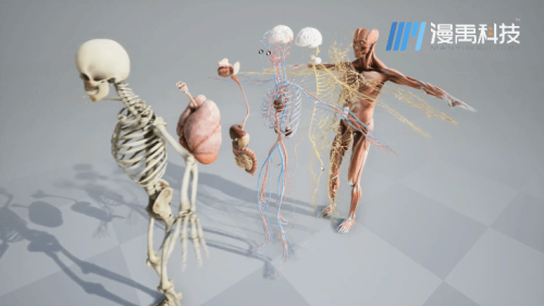 vr最新无码av专区vr最新无码av专区，探索虚拟现实中的精彩内容