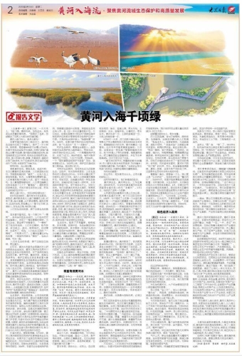 亚洲视频乱码现象，新闻资讯揭示背后的原因与解决方案