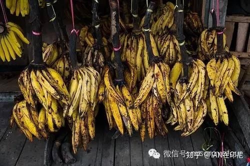 亚洲男人在线天堂2019，探索神秘的香蕉世界