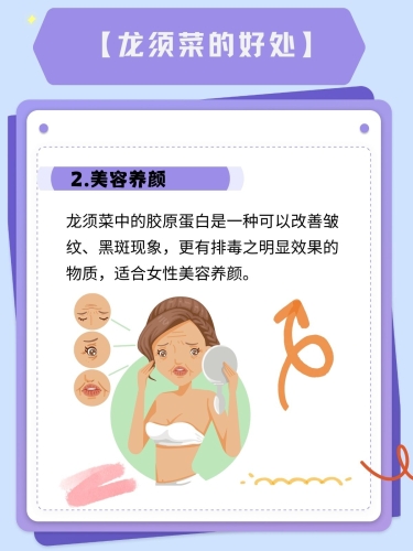 国产精品成人va在线观看，探索健康与安全的双重边界