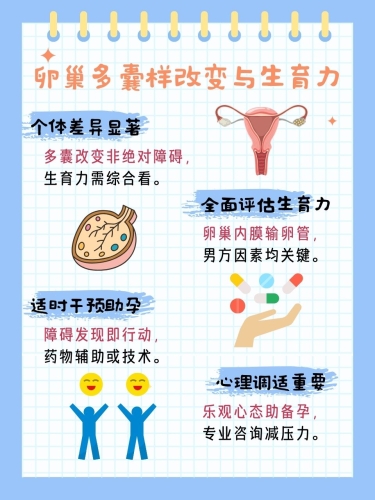 国产精品成人va在线观看，探索健康与安全的双重边界