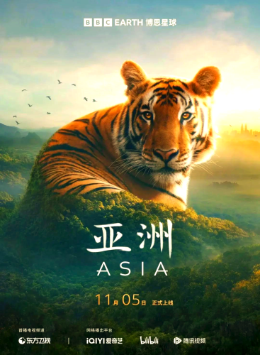 手机看片在线亚洲，探索影视文化的新潮流手机看片在线亚洲国产