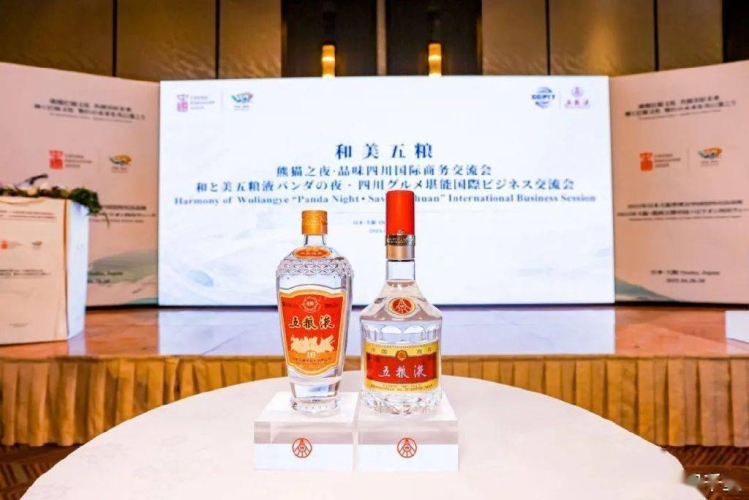 国产精品在线观看，探索数字时代的文化新篇章