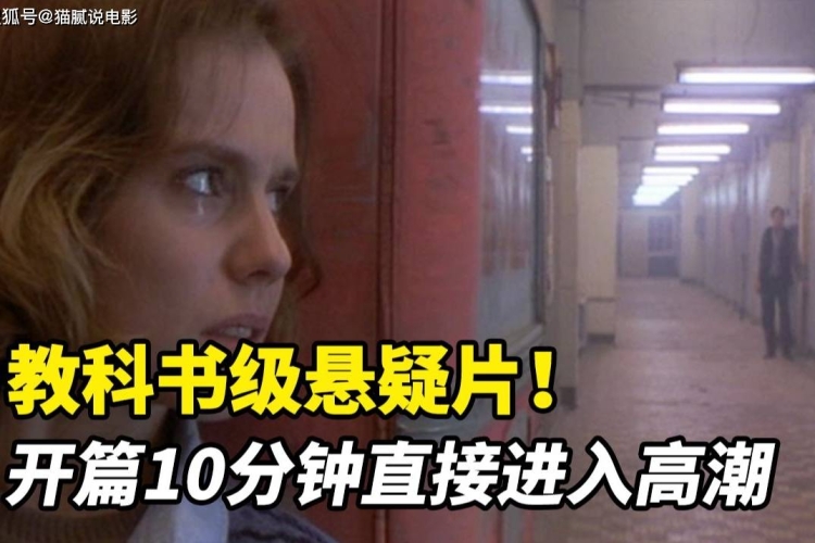 av网页在线播放高潮av网页在线播放新潮流，引领高潮的多元化内容展现