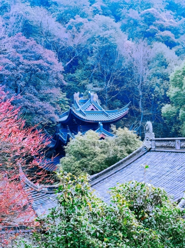 亚洲色拍，探索神秘魅力与多元文化交融亭亭玉立国色天香四月天科普